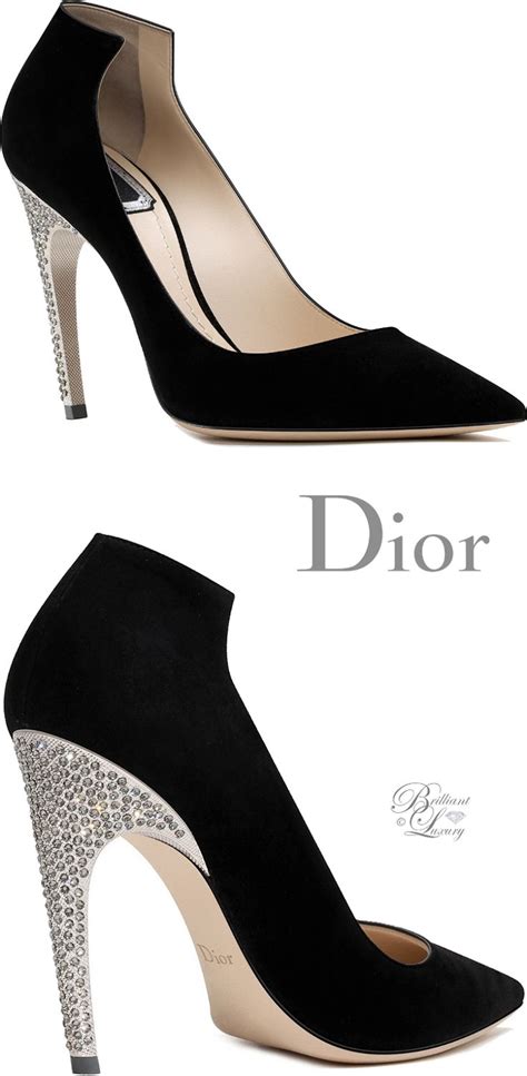 christian dior and christian louboutin|christian dior designer shoes.